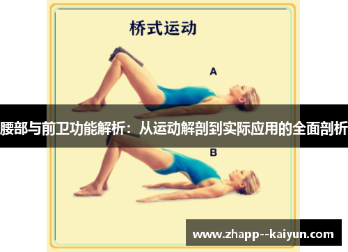 腰部与前卫功能解析：从运动解剖到实际应用的全面剖析