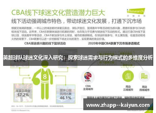 英超球队球迷文化深入研究：探索球迷需求与行为模式的多维度分析